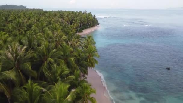 ドローン空中風景ビーチベイヤシの木のパン休日の熱帯旅行観光インド洋メンタワイ諸島インドネシアアジア4K — ストック動画