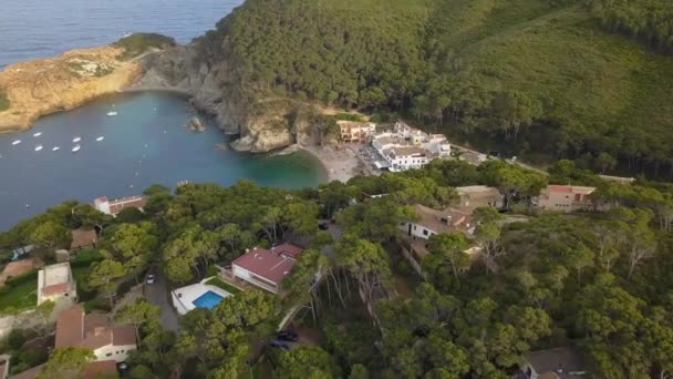 Vue Par Drone Petit Village Cala Tuna Sur Costa Brava — Video