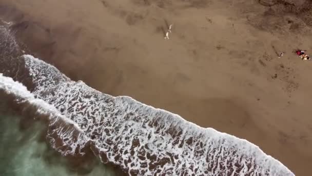 Luchtfoto Van Gui Gui Beach Las Palmas Gran Canaria Tijdens — Stockvideo