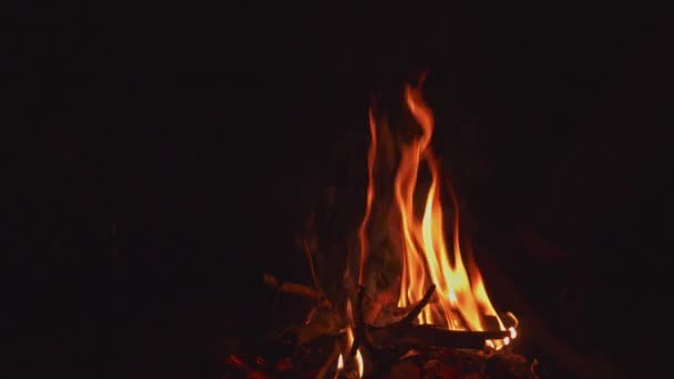 暗い背景を背景に隔離された森の中でかがり火を吹く 静的ショット — ストック動画