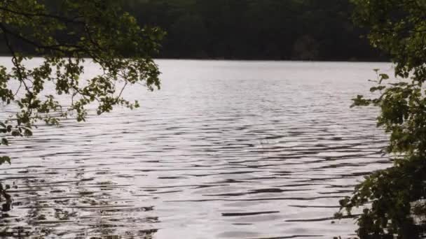 Orilla Del Lago Apino Kashubia Distrito Pomeraniano Polonia Disparo Estático — Vídeo de stock