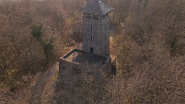 Osoba Zwiedzająca Najwyższy Poziom Starej Wieży Widokowej Gęstym Ale Gołym — Wideo stockowe