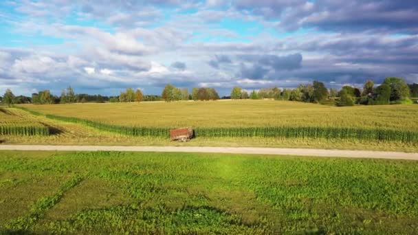 Traktoranhänger Vor Goldenem Maisfeld Antennenwagen Richtung Gewitterwolken — Stockvideo