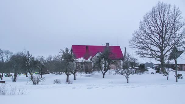 Timelapse Tiro Casas Cercadas Por Espessa Camada Neve Durante Temporada — Vídeo de Stock