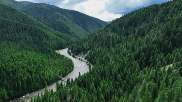 美国蒙大拿州米苏拉县洛洛国家公园的空中全景秀丽的山脉和奔流的河流 — 图库视频影像
