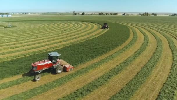 Aerial Tracking Shot Dos Tractores Cortando Hierba Círculos Perfectos Listos — Vídeos de Stock