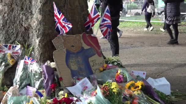 Paddington Bear Dipinto Lasciato Memoriale Nel Centro Londra Regno Unito — Video Stock