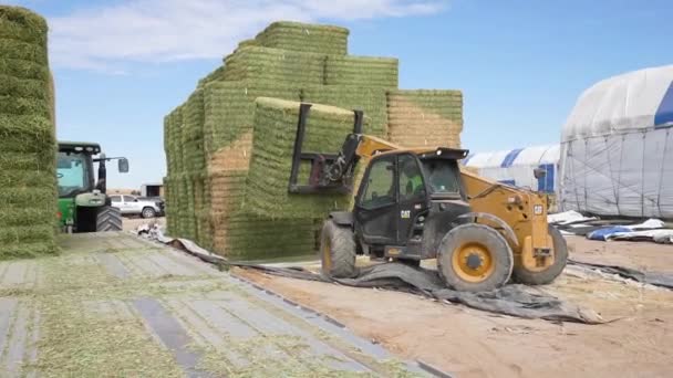 Tracking Shot Forklift Transfering Hay Bales Pile Transport Truck — Vídeo de stock