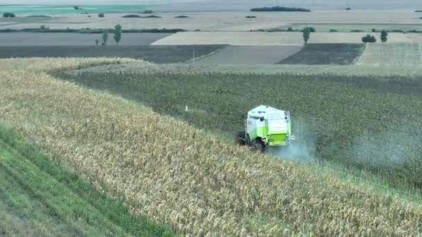 Vista Aérea Plantas Corte Alemãs Claas Harvester Campo Área Rural — Vídeo de Stock