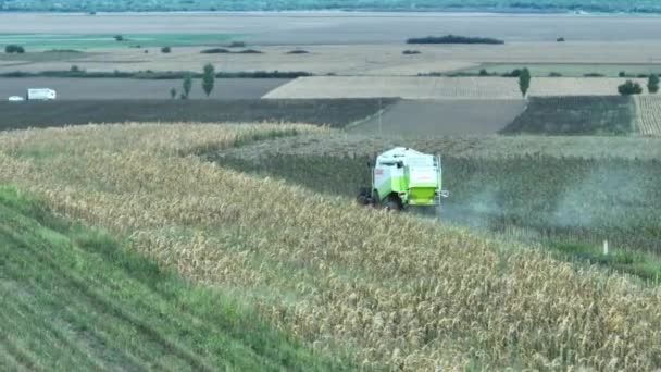 Captura Aérea Seguimiento Cosecha Cosechadoras Combinadas Campo Agrícola Rumania — Vídeo de stock