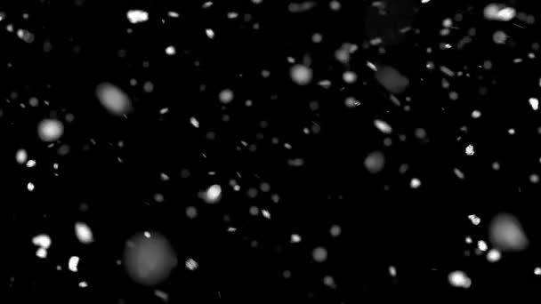 黒い背景に雪の粒子 — ストック動画