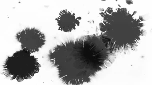 Czarny Tusz Drop Farba Wody Splatter Logo Opener — Wideo stockowe