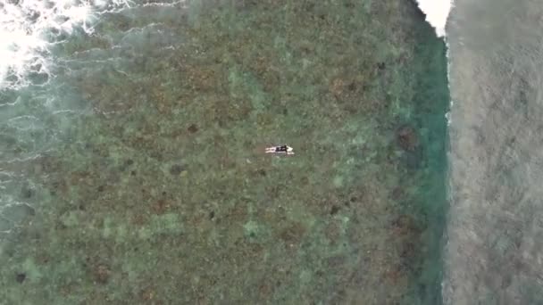 Drone Photo Aérienne Océan Indien Surfeur Canard Plongeur Vagues Houle — Video