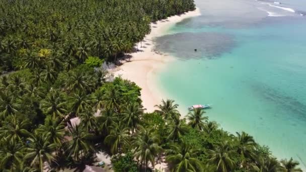 Dron Zdjęć Lotniczych Łodzi Zadokował Piaszczystej Plaży Palmami Kokosowymi Tropikalne — Wideo stockowe