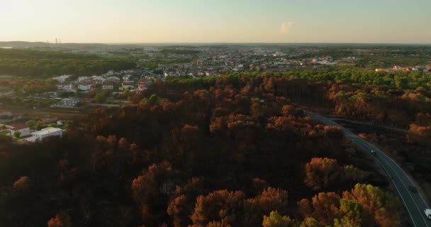 Widok Lotu Płonącego Lasu Pobliżu Miasta Podczas Złotej Godziny Śledzenie — Wideo stockowe