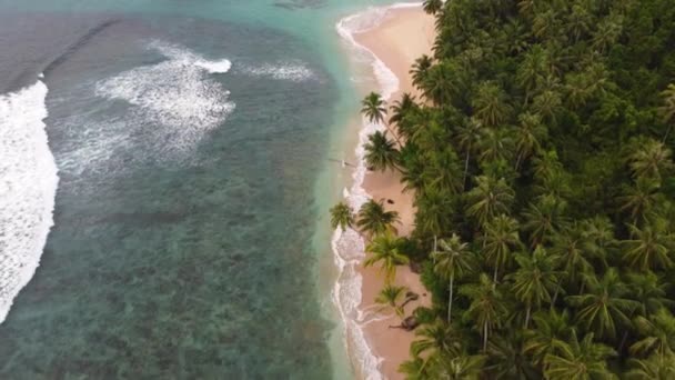 印度尼西亚苏门答腊4K岛清澈的海洋水礁 带海浪的潜水沙地海滩和椰子树的无人机景观 — 图库视频影像