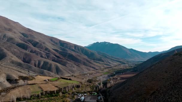 Drone Flyover Vineyard Cultivation Limar Valley Surrounded Rugged Mountains Chile — Stock Video
