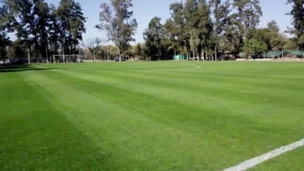 Drone Voando Baixo Sobre Campo Futebol Vazio Com Grama Verde — Vídeo de Stock