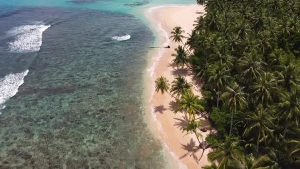 Drone Plano Paisaje Aéreo Del Océano Índico Arrecife Rocoso Playa — Vídeos de Stock