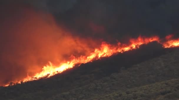 Ψηλές Φλόγες Λευκός Μαύρος Καπνός Υψώνεται Πάνω Από Ένα Δάσος — Αρχείο Βίντεο