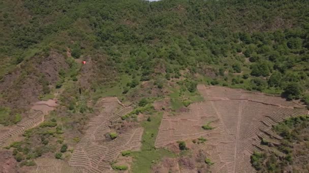 Dolly Dejó Plano Aéreo Viñedo Agricultores Lado Una Colina Empinada — Vídeos de Stock