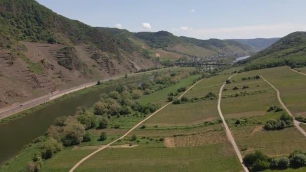 Uppstigning Drönare Skott Den Fantastiska Bremm Mosel Loop — Stockvideo