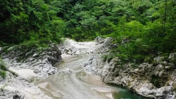 Schoon Helder Water Dat Overdag Door Nizao Rivier Stroomt Met — Stockvideo