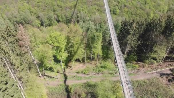 Αεροφωτογραφία Της Μεγάλης Γέφυρας Ανάρτησης Geierlay 360 Μέτρων Που Βρίσκεται — Αρχείο Βίντεο