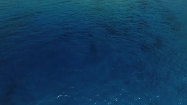 Blue Deep Ocean Hapuna Beach Den Stora Hawaii Aerial Tilt — Stockvideo