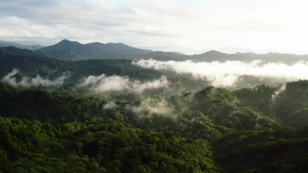 Widok Powietrza Zielone Wzgórza Góry Gęstym Lasem Podczas Wędrówki Los — Wideo stockowe