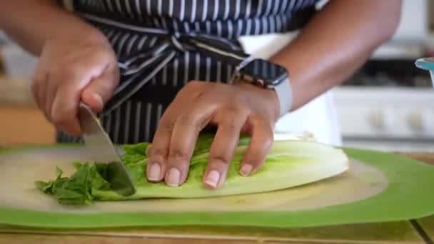 Lattuga Romana Taglio Insalata Tritata Serie Insalata Antipasto — Video Stock