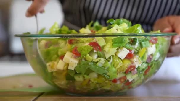 Змішування Всіх Свіжих Інгредієнтів Подрібненого Салату Antipasto Salad Series — стокове відео