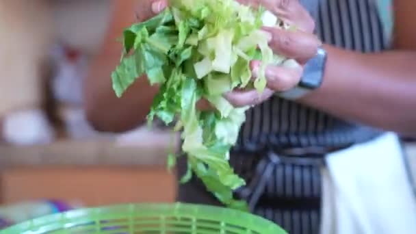 Poner Lechuga Romana Picada Hilandero Ensalada Serie Ensalada Antipasto — Vídeos de Stock