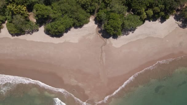 Statyczny Widok Lotu Ptaka Przekątną Fal Uderzających Piękną Pustą Plażę — Wideo stockowe