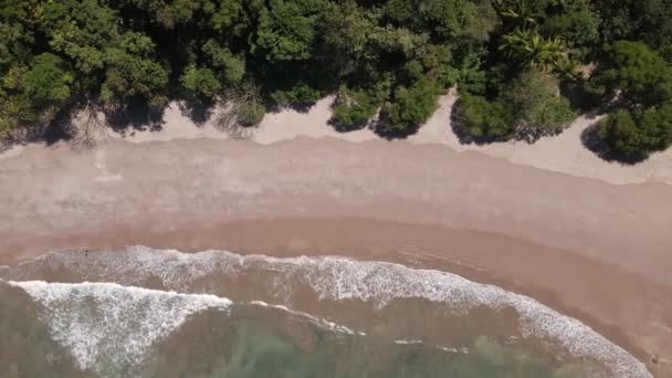 Imágenes Drones Arriba Hacia Abajo Una Playa Vacía Con Una — Vídeos de Stock