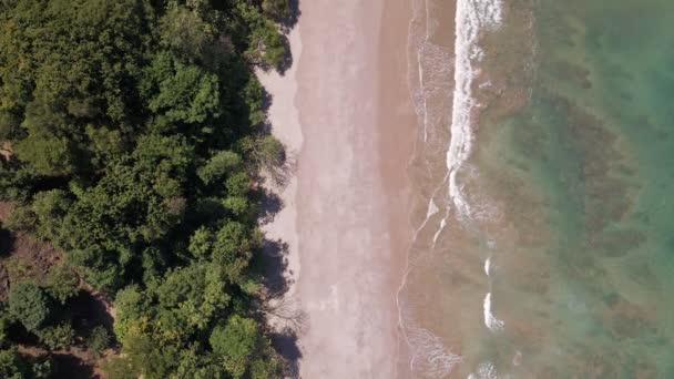 Playa Ensueño Vacía Con Agua Turquesa Los Trópicos Donde Exuberante — Vídeos de Stock