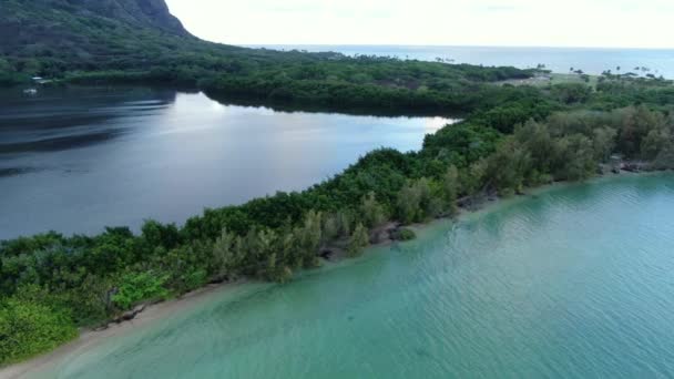 海と伝統的なハワイの魚池の間の自然壁の上を飛ぶ — ストック動画