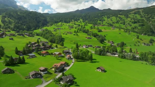 Vista Aerea Sulla Campagna Estiva Eiger Express Grindelwald Svizzera — Video Stock