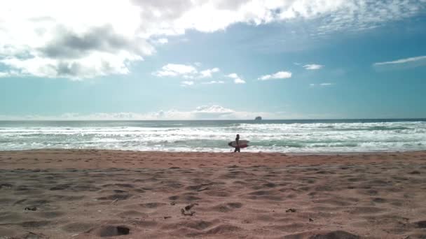 Twee Surfers Wandelen Langs Het Strand — Stockvideo