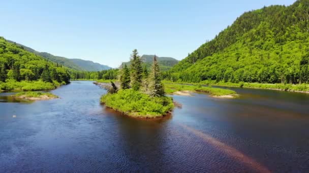 Floden Rinner Genom Jacques Cartier National Park Quebec — Stockvideo