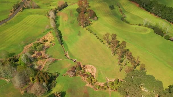 Filmflygning Över Nya Zeelands Golfbana Coromandel — Stockvideo