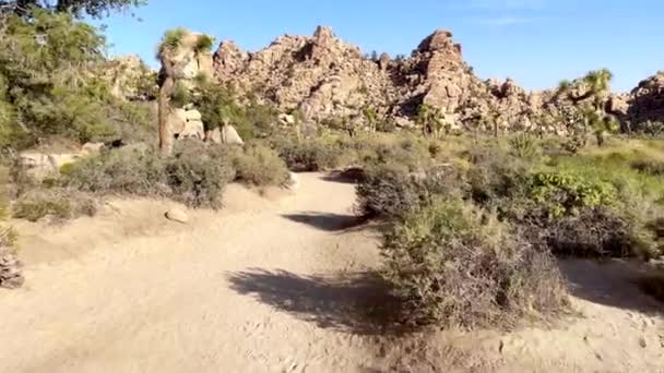 Woestijn Scènes Uit Joshua Tree National Park Californië — Stockvideo