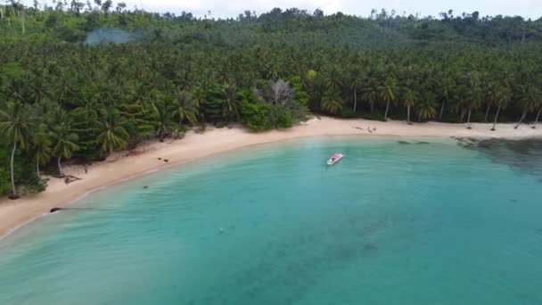砂のビーチに沿ってジャングルの熱帯雨林のヤシの木にドローンの空中パンショットとボートはクリスタルクリアベイの煙旅行観光にドッキング Mentawai Islands Siberut Indonesia — ストック動画