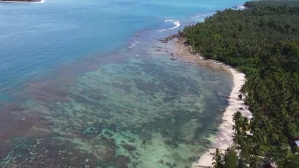 澄んだ岩礁の空中風光明媚な風景海の波砂の湾とヤシの木旅行観光メンタワイ諸島スマトラ島インドネシアアジアパダン4K — ストック動画