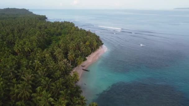 Drone Aérea Costa Tiro Con Hermoso Arrecife Claro Palmeras Canal — Vídeos de Stock