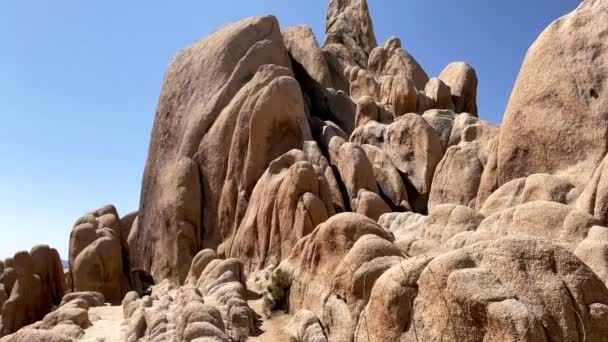 Cenas Deserto Joshua Tree National Park Califórnia — Vídeo de Stock
