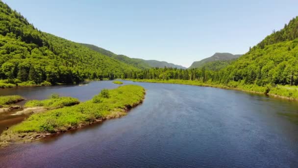 Sungai Mengalir Melalui Taman Nasional Jacques Cartier Quebec — Stok Video