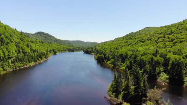 ケベック州のジャック カルティエ国立公園を流れる川 — ストック動画