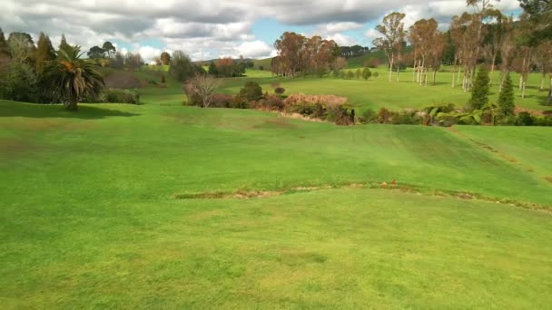 Vliegen Golfbaan Groene Vlag Met Drone — Stockvideo