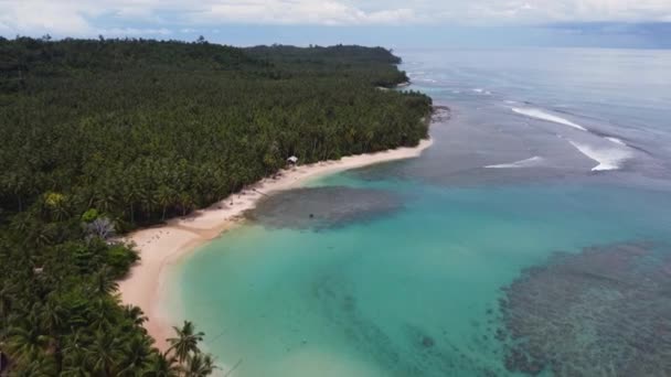 ジャングル熱帯雨林のヤシの木とドローン空中風景フライオーバーココナッツと砂のビーチチャンネル岩のサンゴ礁旅行観光メンタワイ島インドネシアスマトラ4K — ストック動画